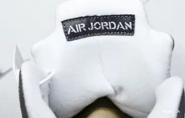 'Wolf Retro Grey' 136027-005 Jordan 5 0706